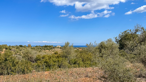 Unique property with natural stone house and great potential on 90,000 m² of land, 07500 Manacor (Spain), Plot