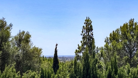 Top building plot with distant sea views and expected planning permission in early 2025, 07680 Manacor (Spain), Residential plot