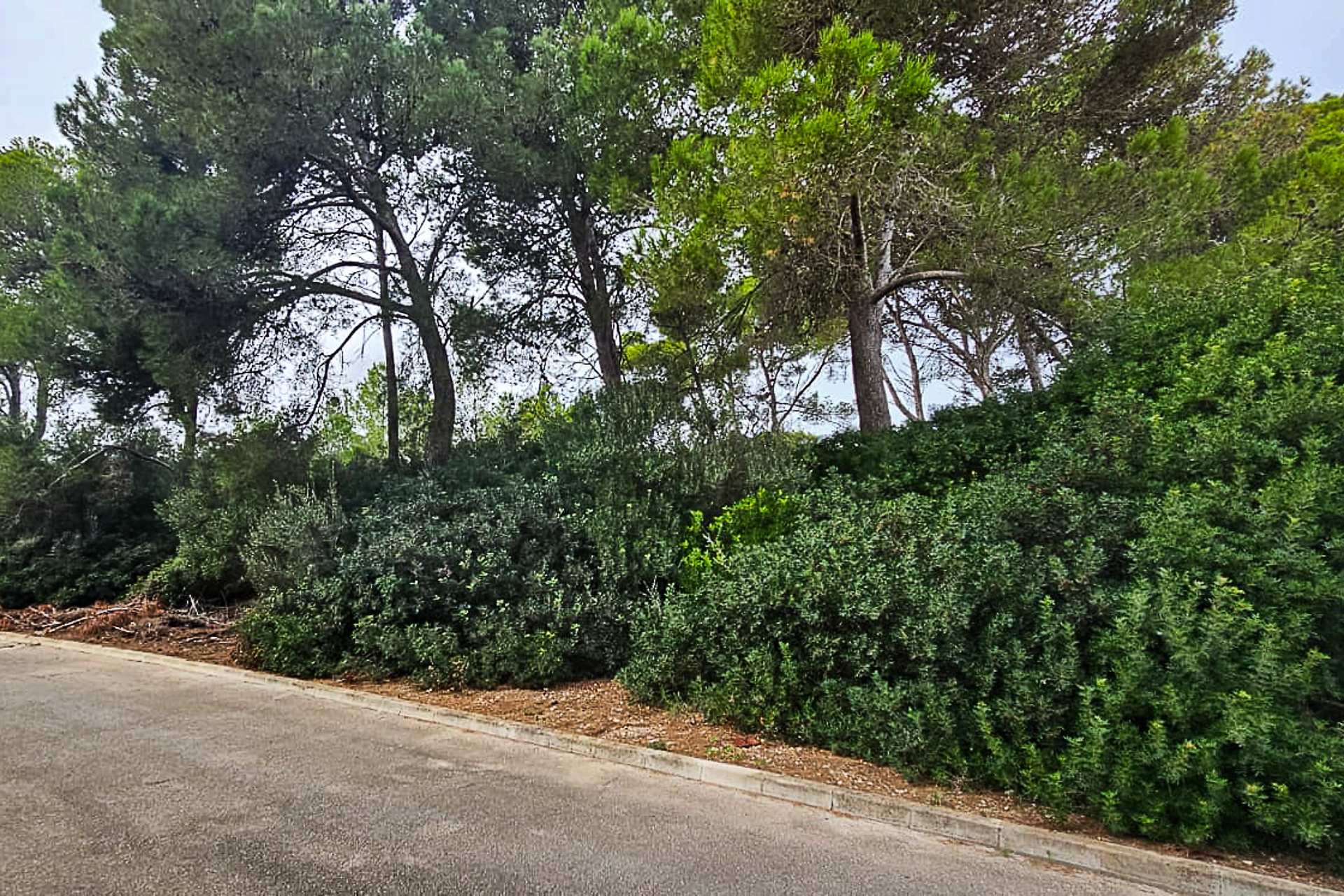 Exclusive plot in Porto Cristo: close to the coast, tranquillity and a first-class neighborhood, 07680 Manacor (Spain), Residential plot