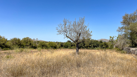 Rural building plot with planning permission – including pool – in a quiet location near Artà, 07570 Artà (Spain), Residential plot