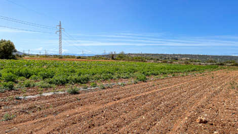 Property consisting of six plots in an excellent location with building potential in Manacor, 07500 Manacor (Spain), Plot