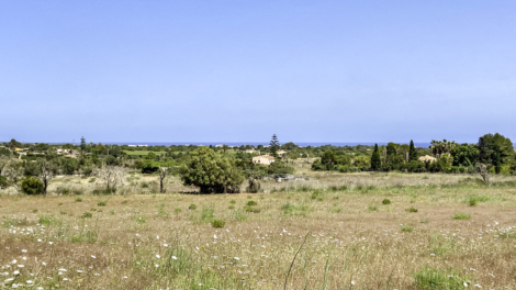 Top-Baugrundstück mit Fernmeerblick und voraussichtlicher Baugenehmigung Anfang 2025, 07680 Manacor (Spanien), Wohngrundstück