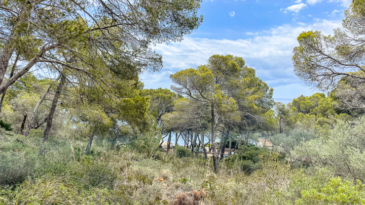 IHRE CHANCE: Bebaubares Grundstück mit traumhaftem Meerblick in attraktiver Lage, 07590 Cala Ratjada (Spanien), Wohngrundstück