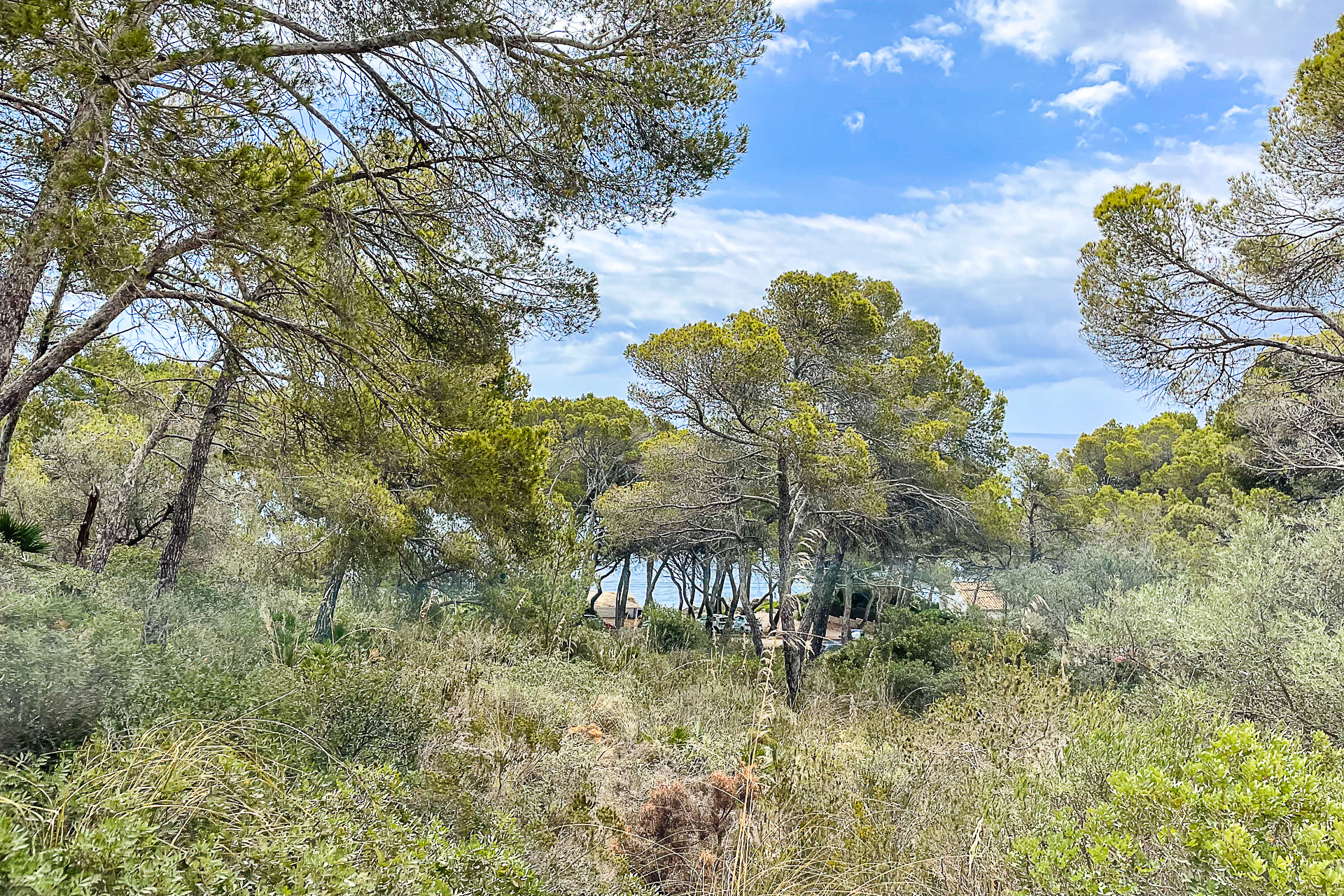 YOUR OPPORTUNITY: Buildable plot with fantastic sea views in an attractive location, 07590 Cala Ratjada (Spain), Residential plot