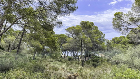 YOUR OPPORTUNITY: Buildable plot with fantastic sea views in an attractive location, 07590 Cala Ratjada (Spain), Residential plot